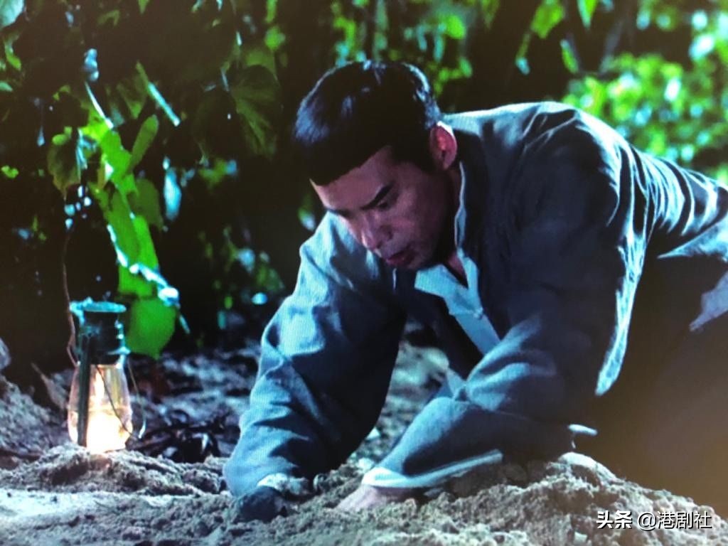 tvb经典港剧香港十大奇案,看名字以为是烂剧的好剧