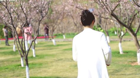 深圳隐秘风景,深圳粉色花海视频