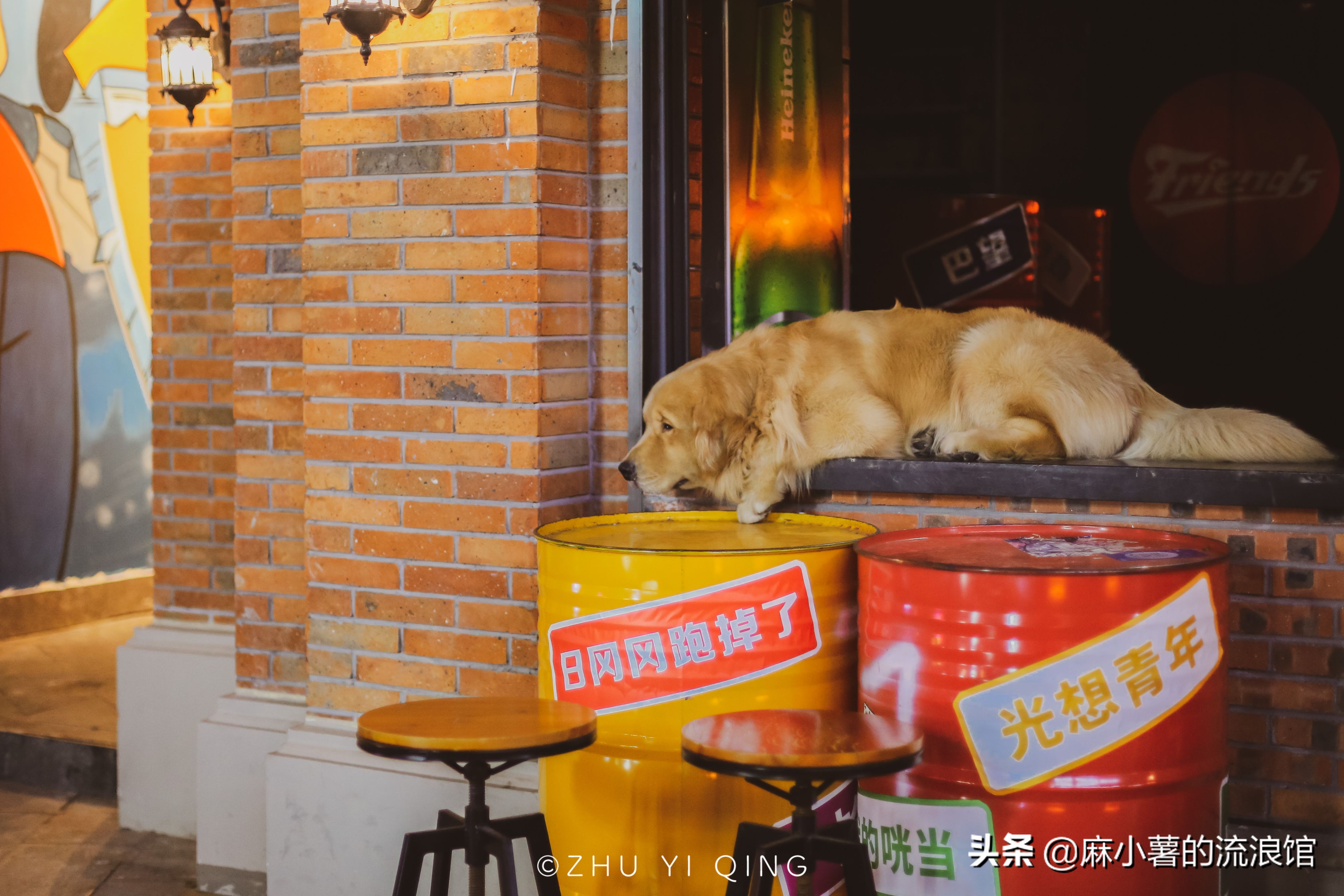 合肥步行街合肥特色,合肥步行街必吃一条街