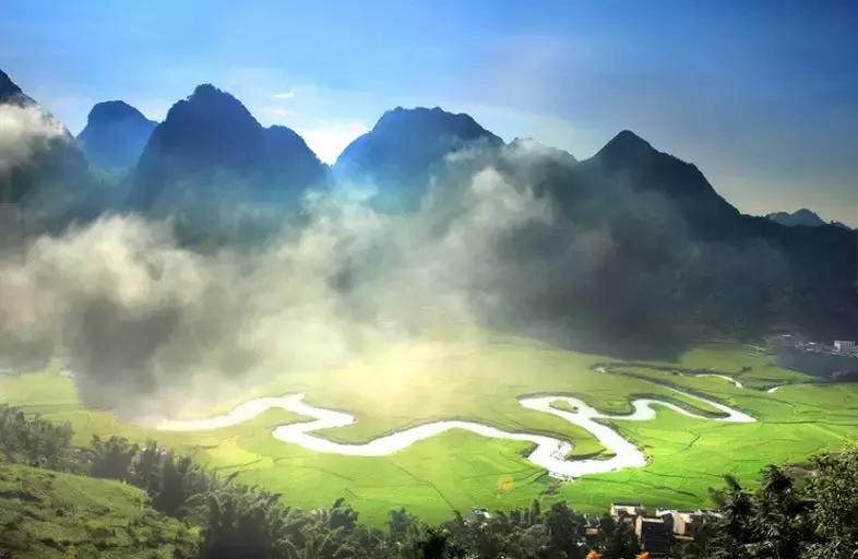 茶可以降低血糖吗,番石榴茶能降血糖吗