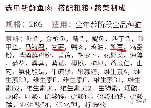 毛孩子乱吃东西被主人发现,毛孩子乱吃东西主子的真实反应
