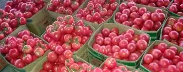 连云港有什么特产详细介绍,连云港特产豆丹最贵的时候多少钱