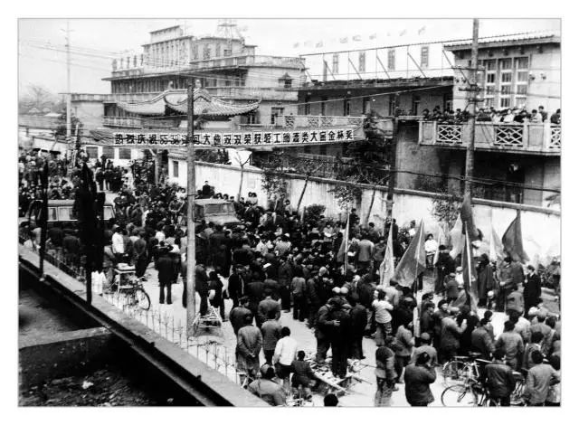 洋河大曲值得收藏的是哪款酒,洋河大曲最值得收藏的酒