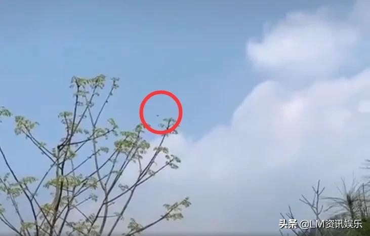 王一博玩无人机赶主播,王一博横店鹰眼视频