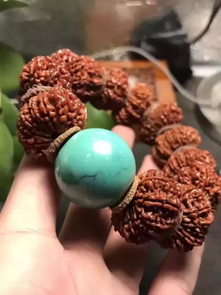 金刚菩提子手串知识大全,讲解金刚菩提的书籍