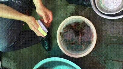 清理小龙虾只留虾尾,小龙虾怎么清理最好吃视频