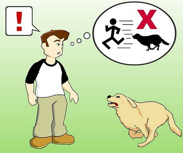 小孩遇到恶犬怎么办,遇到恶狗小孩怎么反击