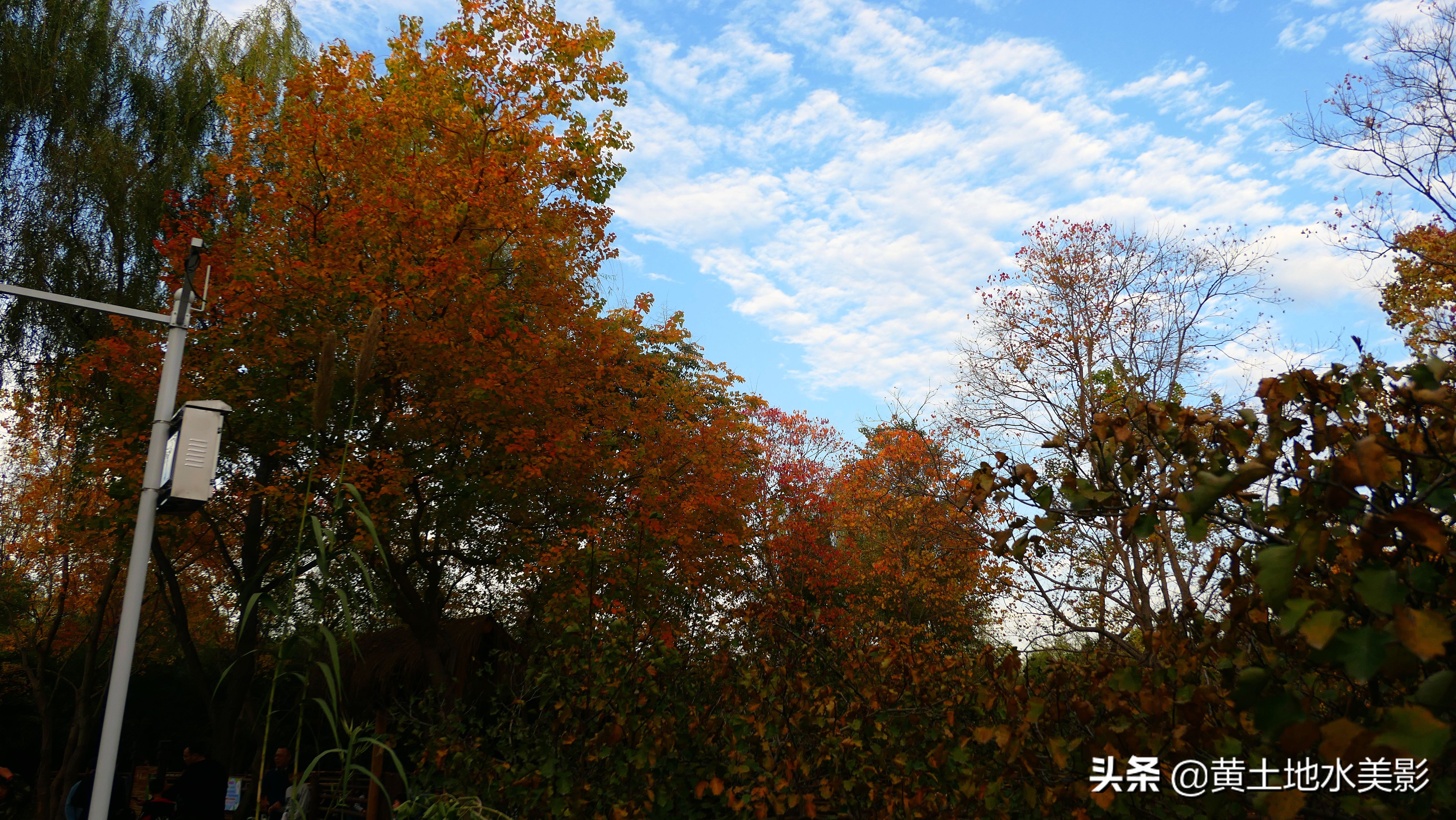 免费游玩东湖公园攻略,游玩国家湿地野鸭湖