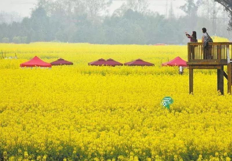 您有一份邀请函请查收,您有一份新的工作请查收