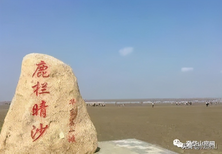 你好，我叫岱山，这是我的最新简历