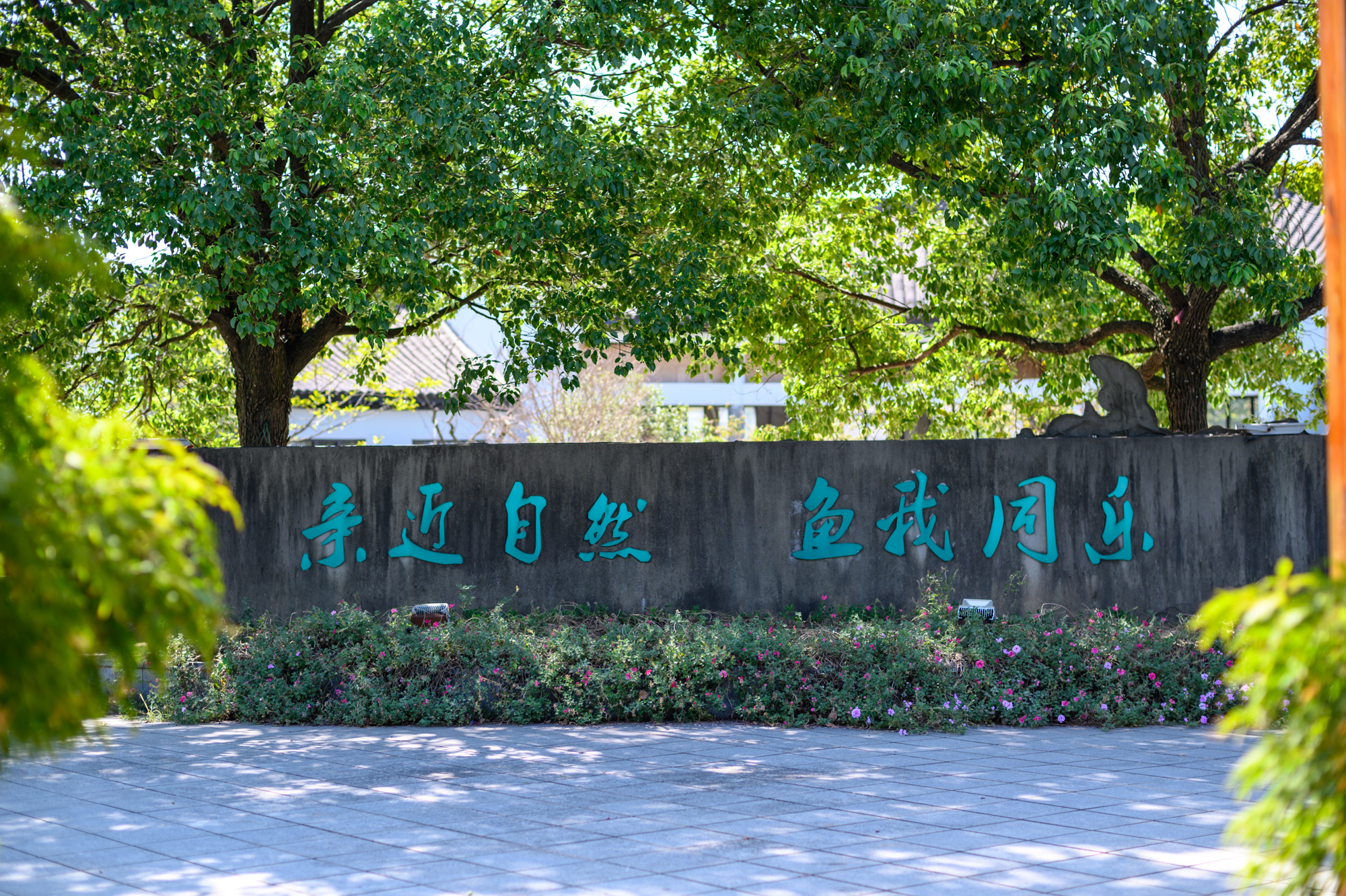 衢州十大旅游景点,衢州龙游湖镇旅游景点