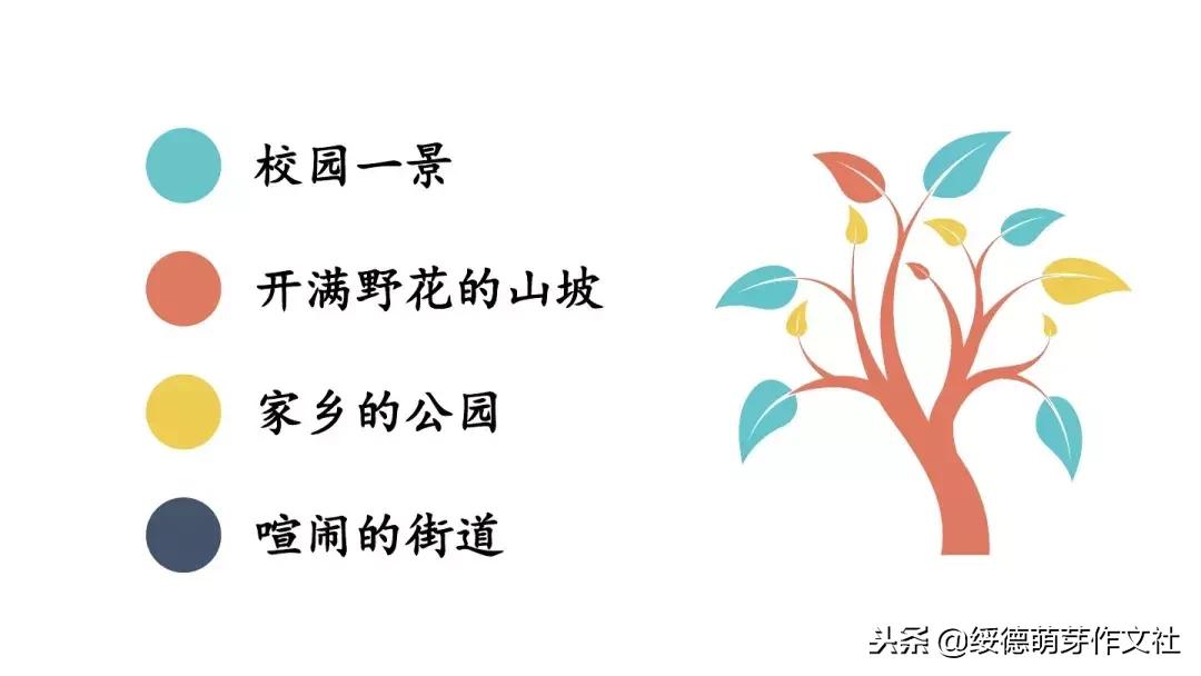 三年级上册语文这儿真美作文200字,三年级上册语文习作这儿真美