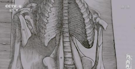 在学习强国看电视剧,能在学习强国看的电视剧