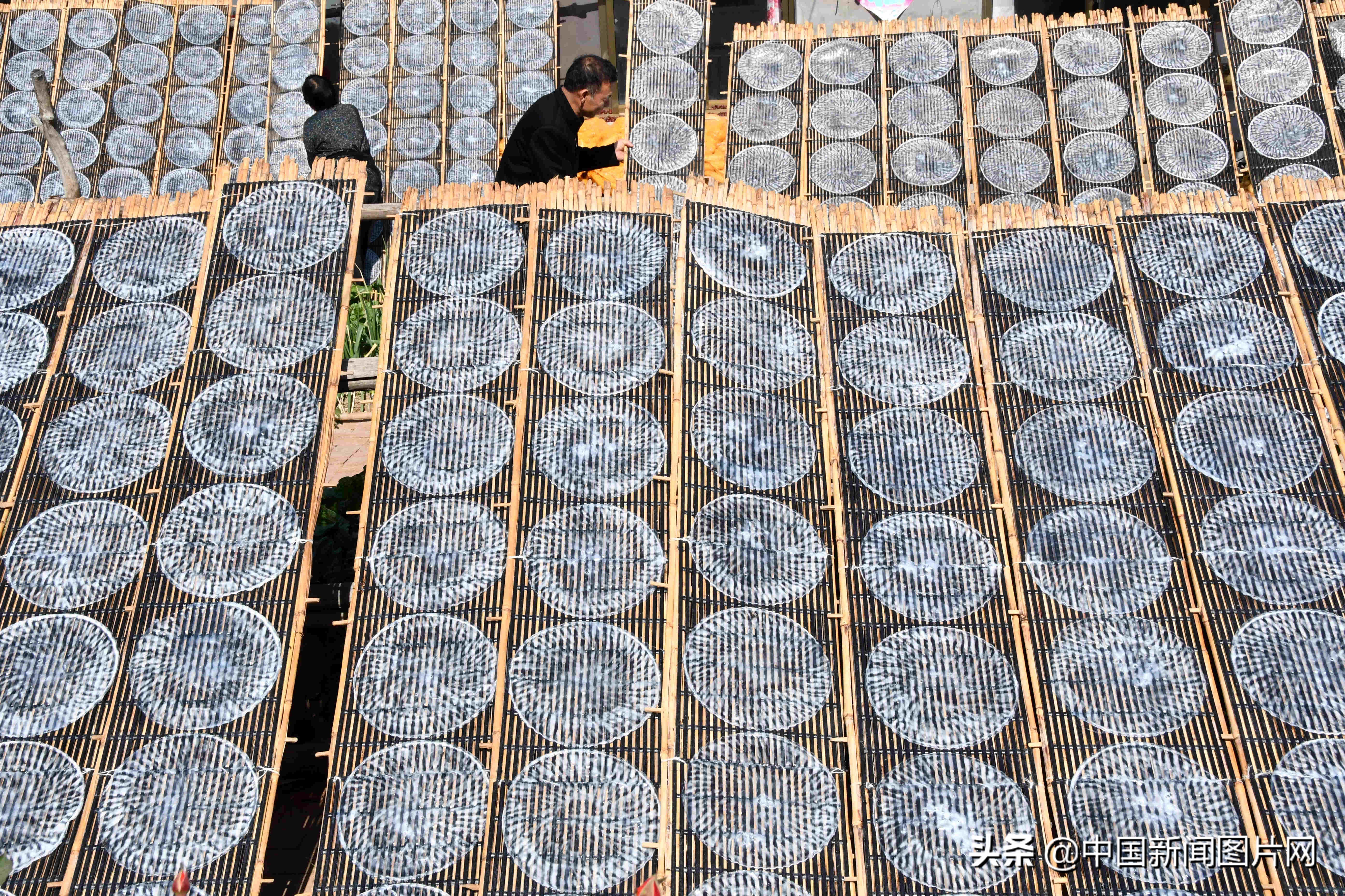 黄县手工粉皮现做现卖,粉皮加工厂致富项目