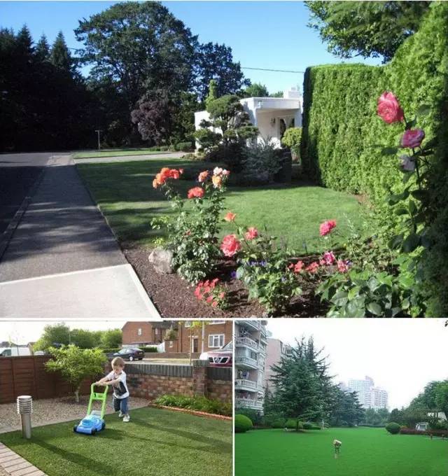 农村草坪花园设计实景图,花园草坪布局