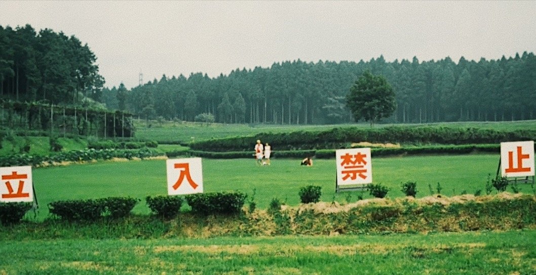 《西小河的夏天》《菊次郎的夏天》——跟着我回到那个难忘的童年