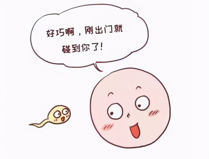 如何科学备孕的讲座,备孕怎么顺利怀孕