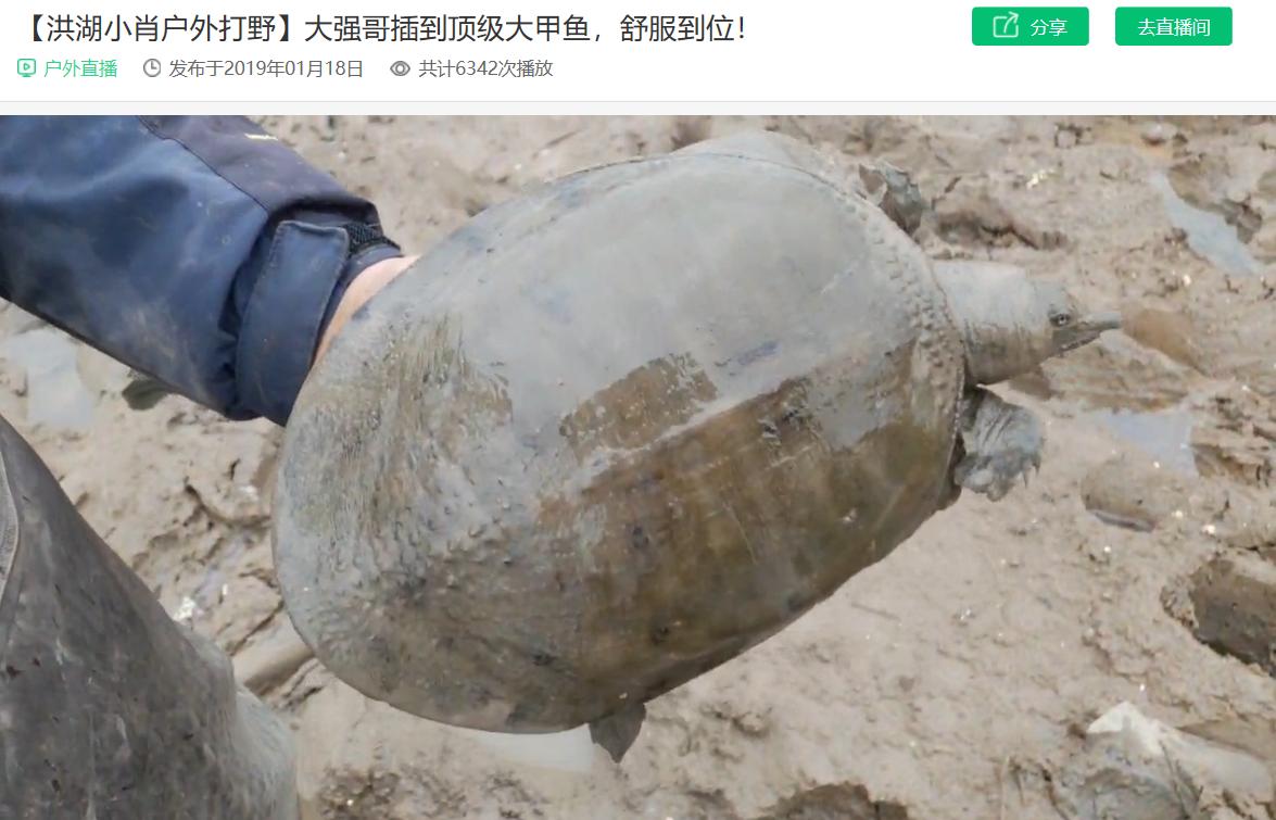 斗鱼直播洪湖小肖还在直播吗,洪湖打野小肖现在在哪直播