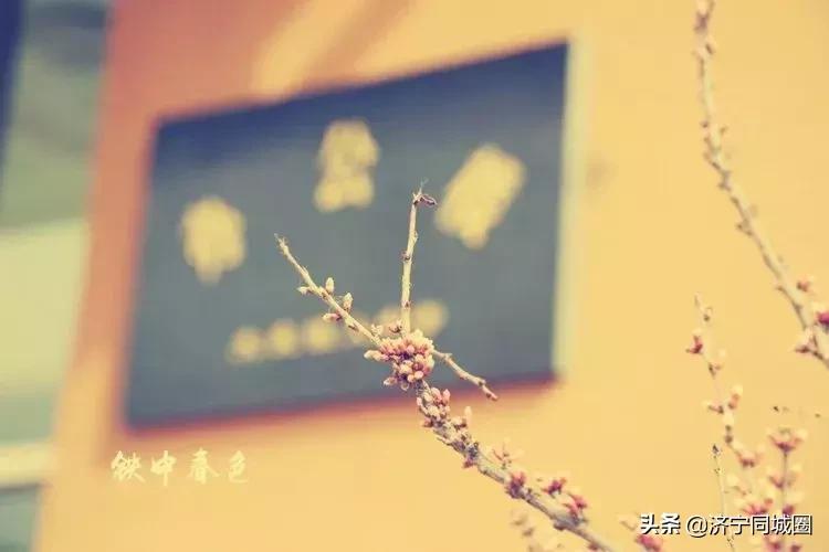 鍏栧窞閾佷腑鍘嗕换鏍￠暱,鍏栧窞閾佷腑93灞婃瘯涓氱収