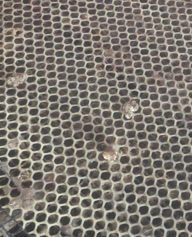 肉鸭降低饲料成本,肉鸭经常性的拉料便该怎么解决