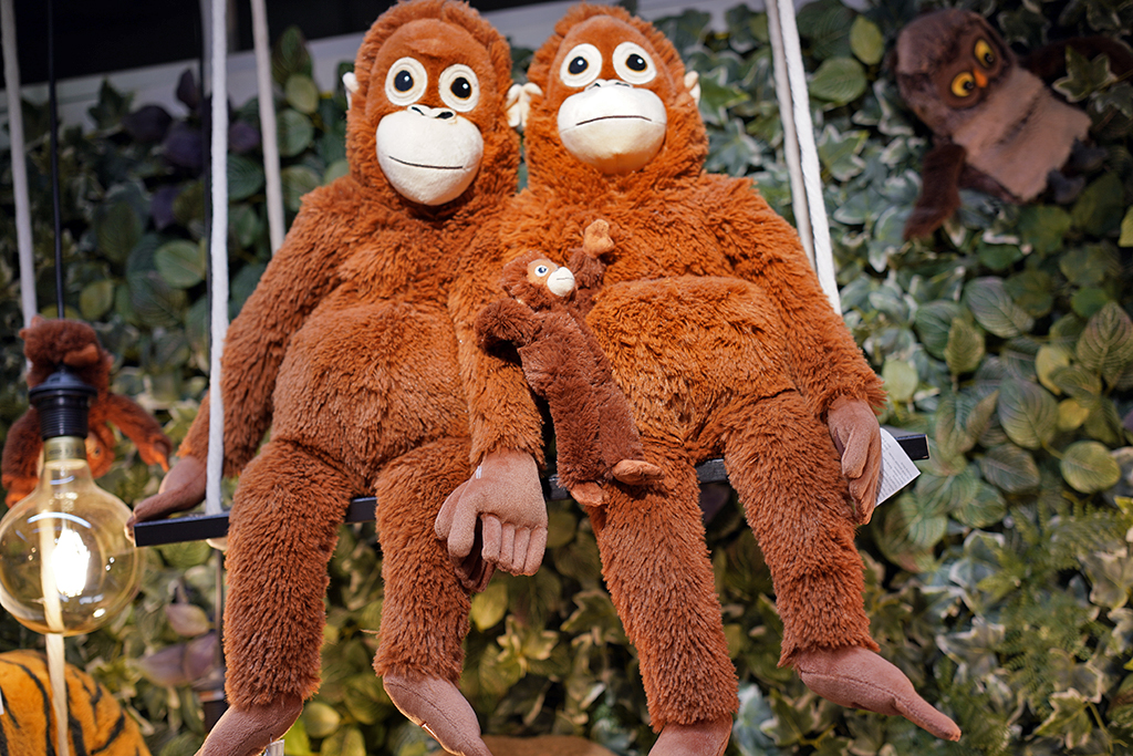 蔡司batis50-1.4镜头评测,蔡司batis镜头18-2