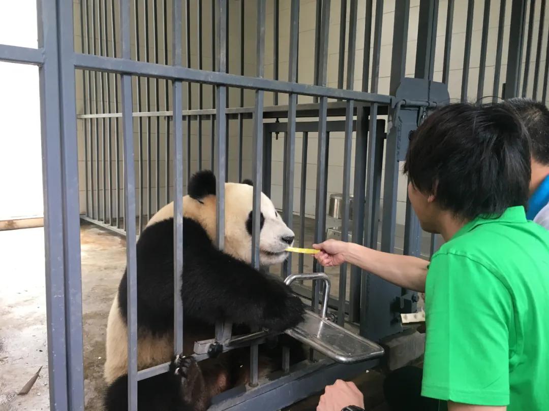 日本旅游公司状况,日本旅游公司排行榜