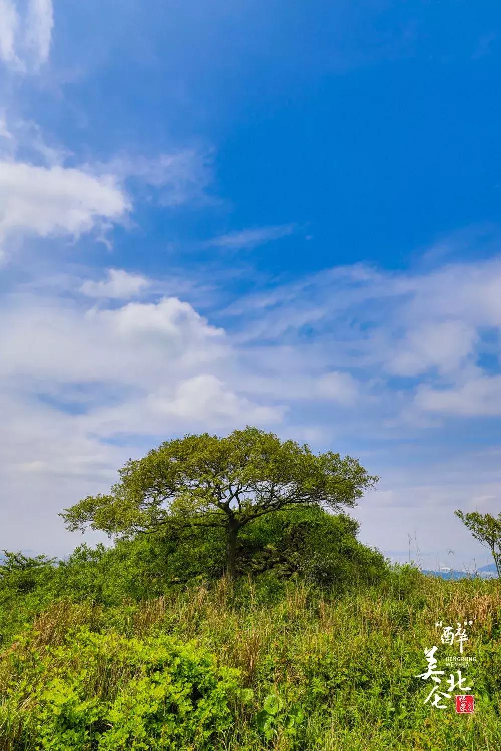 北仑摩天轮俯瞰北仑,可俯瞰北仑
