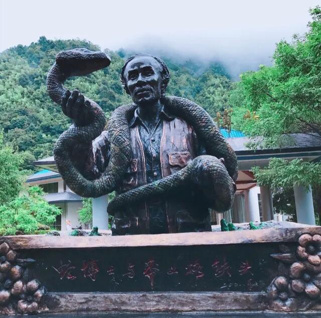 中国十大毒蛇莽山烙铁头,莽山烙铁头蛇全球排名第几毒