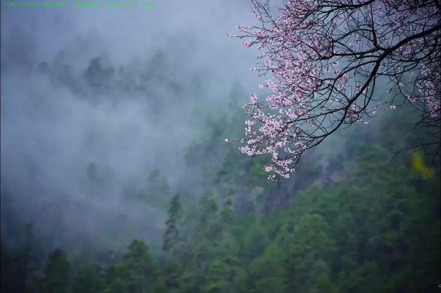 春天去哪里呢歌词,春天去哪里啊歌曲陕西