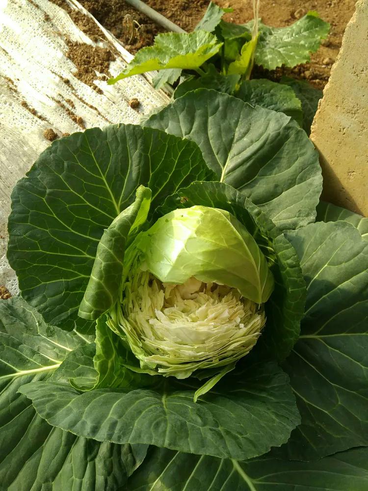 一次关于蛋疼的经历