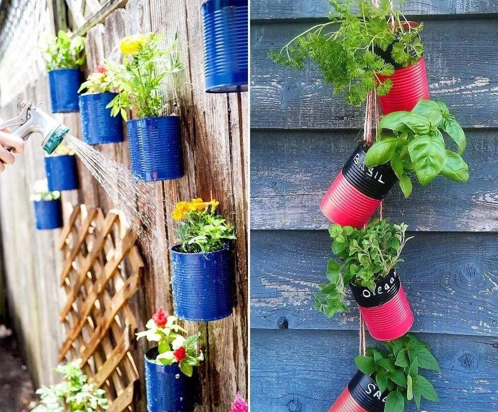 空奶粉罐种花方法,奶粉罐养花效果好吗