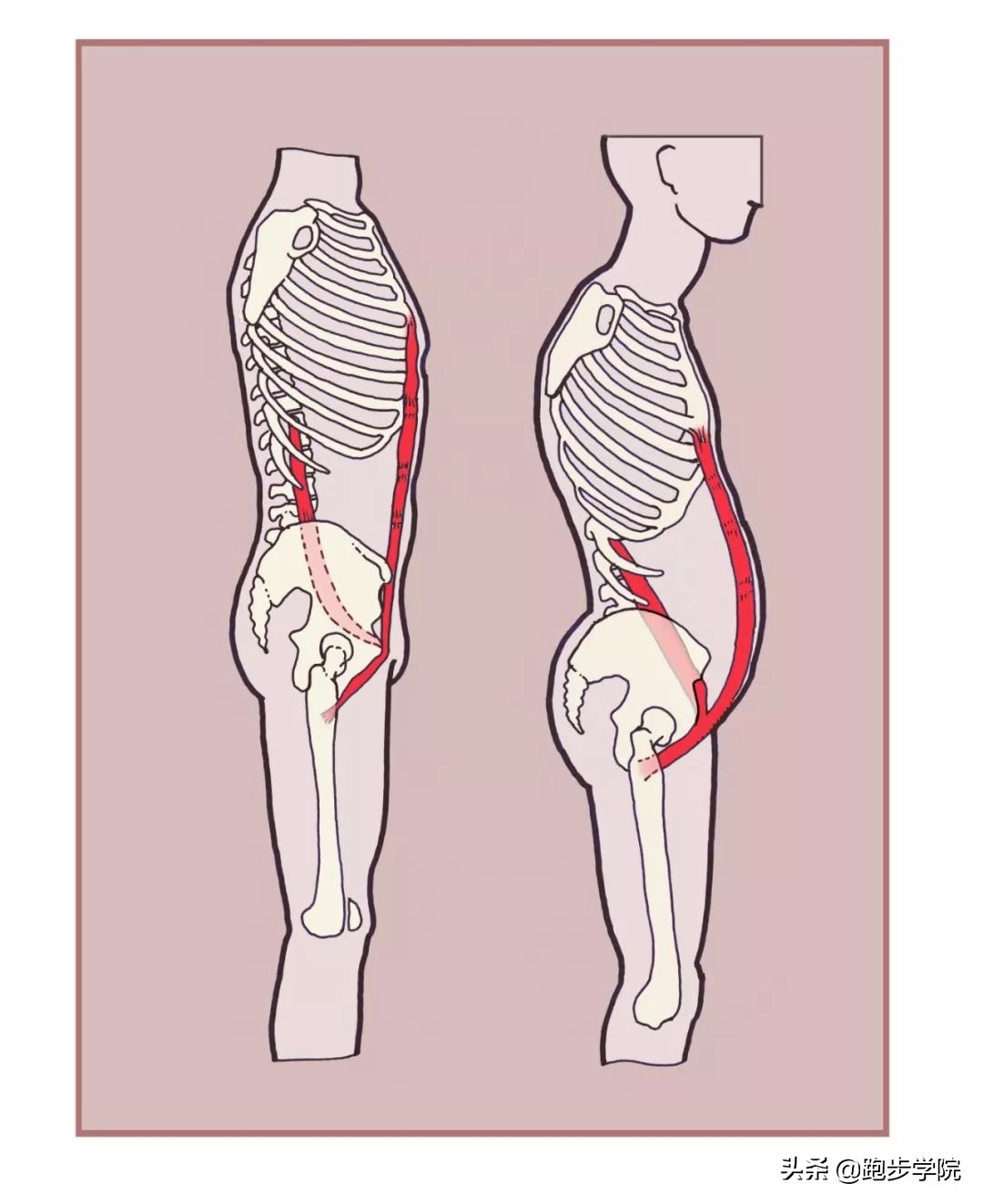 稍微运动浑身咔咔响,为什么运动的时候身体咔咔的响