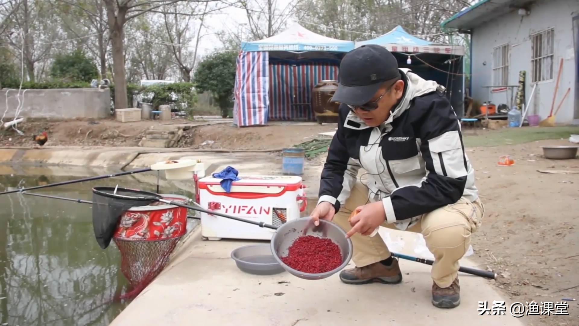 冬季野钓罗非鲤鱼鱼饵搭配,冬季钓大口鲶用什么鱼饵好