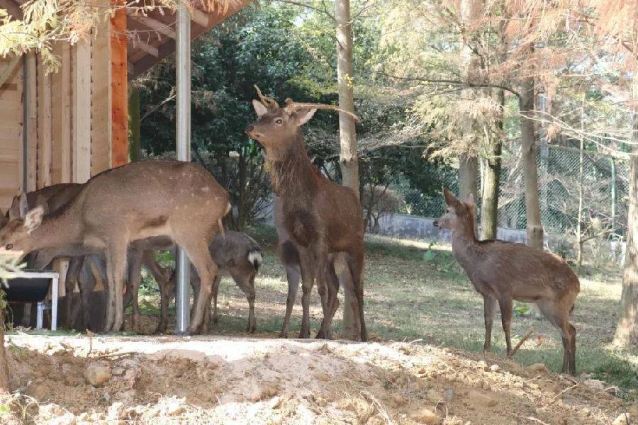 清远森波拉温泉奇妙世界,清远森波拉温泉旅游攻略