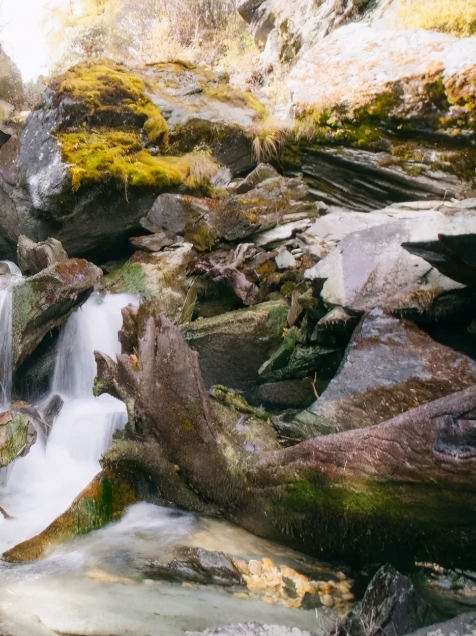 来一趟稻城亚丁，才不负最美人间四月天