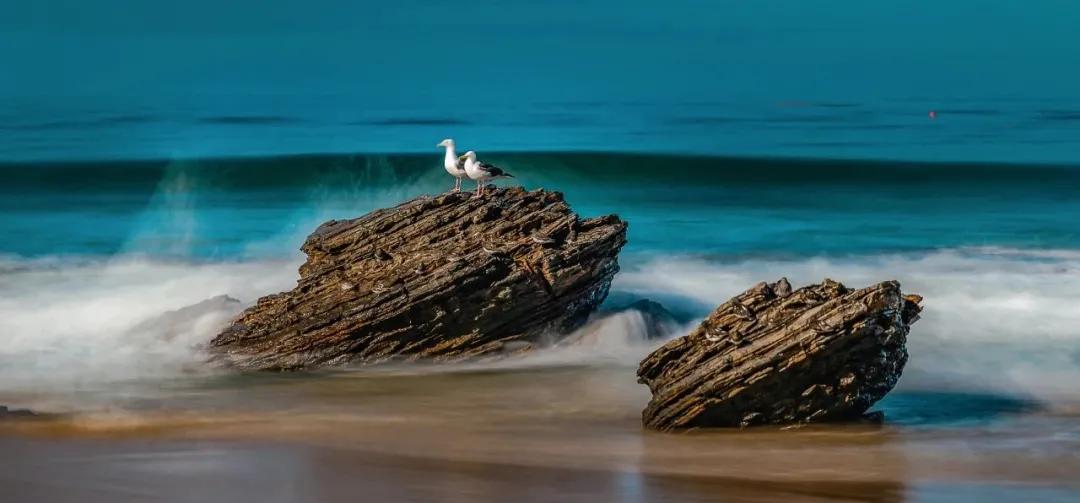 springboot闆嗘垚java,springboot闆嗘垚閰嶇疆绠$悊