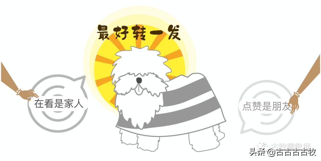 人人都是数据分析师??愿韭菜的世界没有镰刀