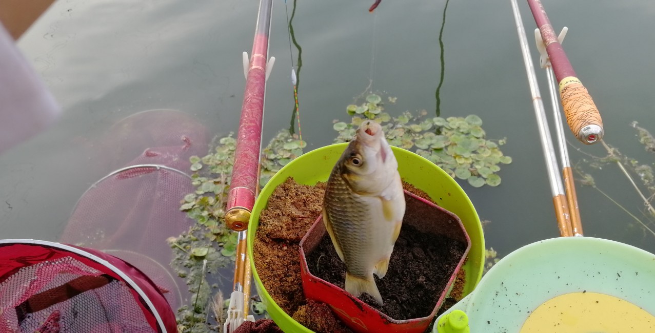 钓浮最简单的调漂方法,鲫鱼钓底还是钓浮怎么调漂