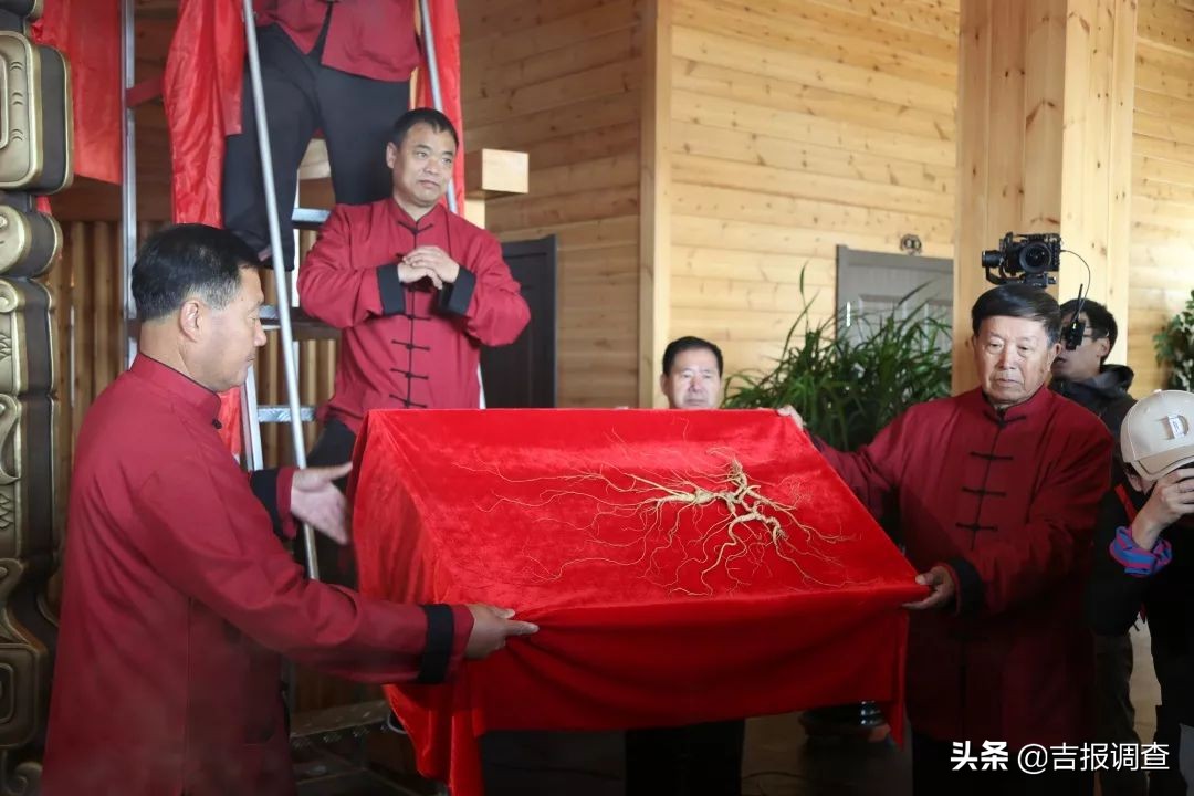 吉尼斯之最,吉尼斯之最视频