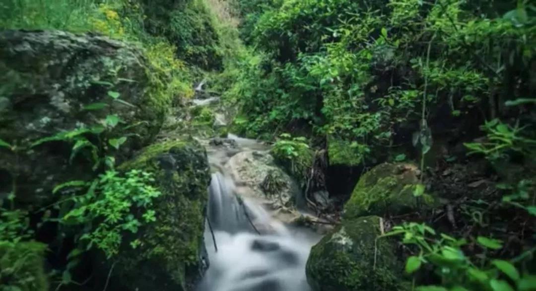 “blingbling”,黄得可爱的橘子可以从8月摘到来年2月!淳安中联村:临湖民宿处女地,甜甜蜜蜜看湖景