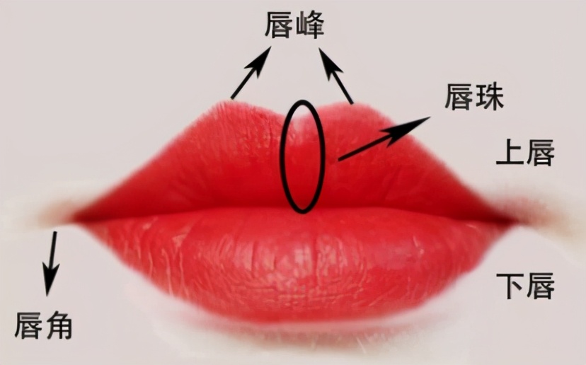 唇部的塑造步骤,唇部美容的方法