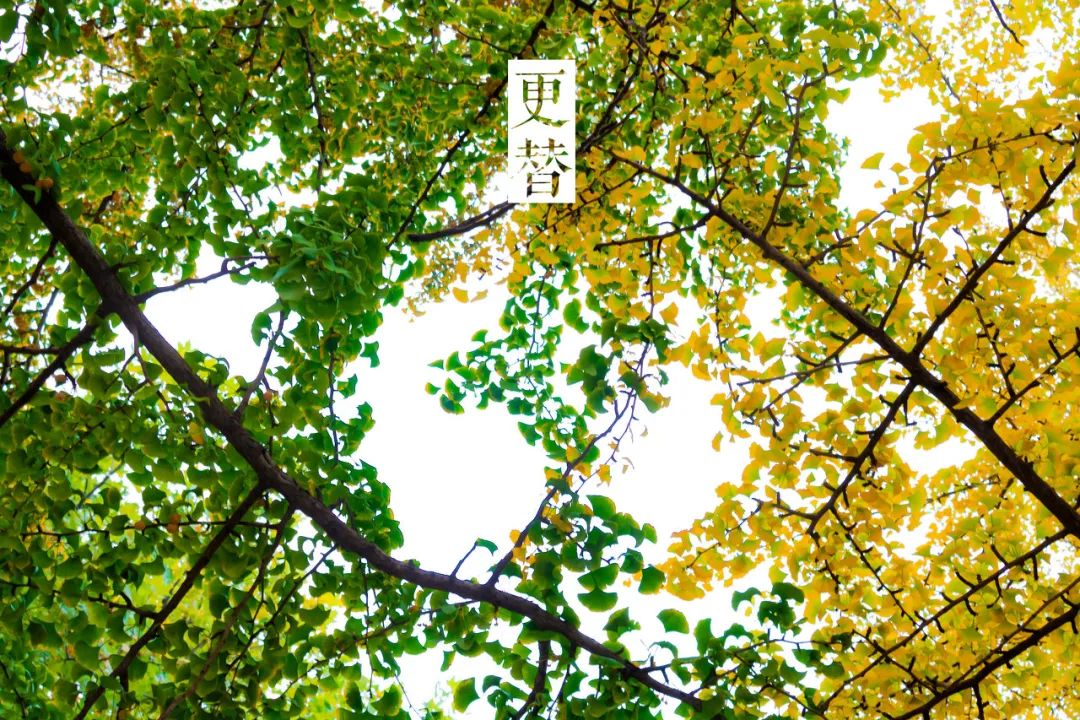 美过三亚!比厦门浪漫!大连这座海滨老城,去一次相当于环游世界