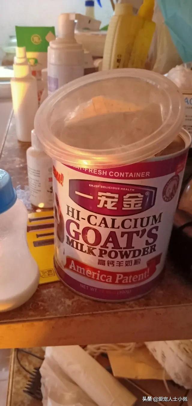 狗狗缺钙的表现怎么治疗,怎么看狗狗缺钙不缺钙