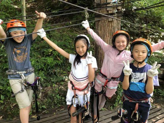 清迈大象义工,清迈大象救助营