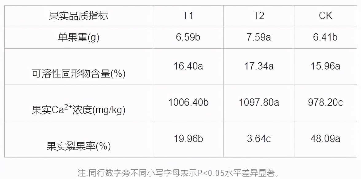 在家盆栽种植樱桃,精品车厘子樱桃苗盆栽