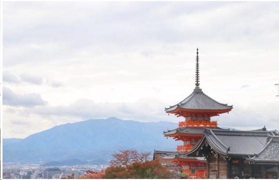 来到日本不能错过章鱼小丸子,来东京不能错过的地方