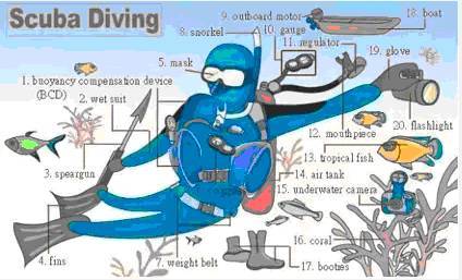 34张图让孩子记住英语中所有生活用词!老师惊呼,太值了!