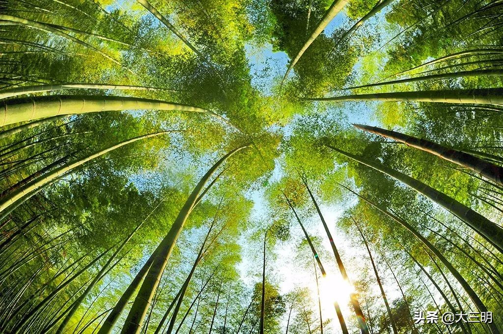 绿都最氧三明景区预约,绿都最氧三明旅游攻略