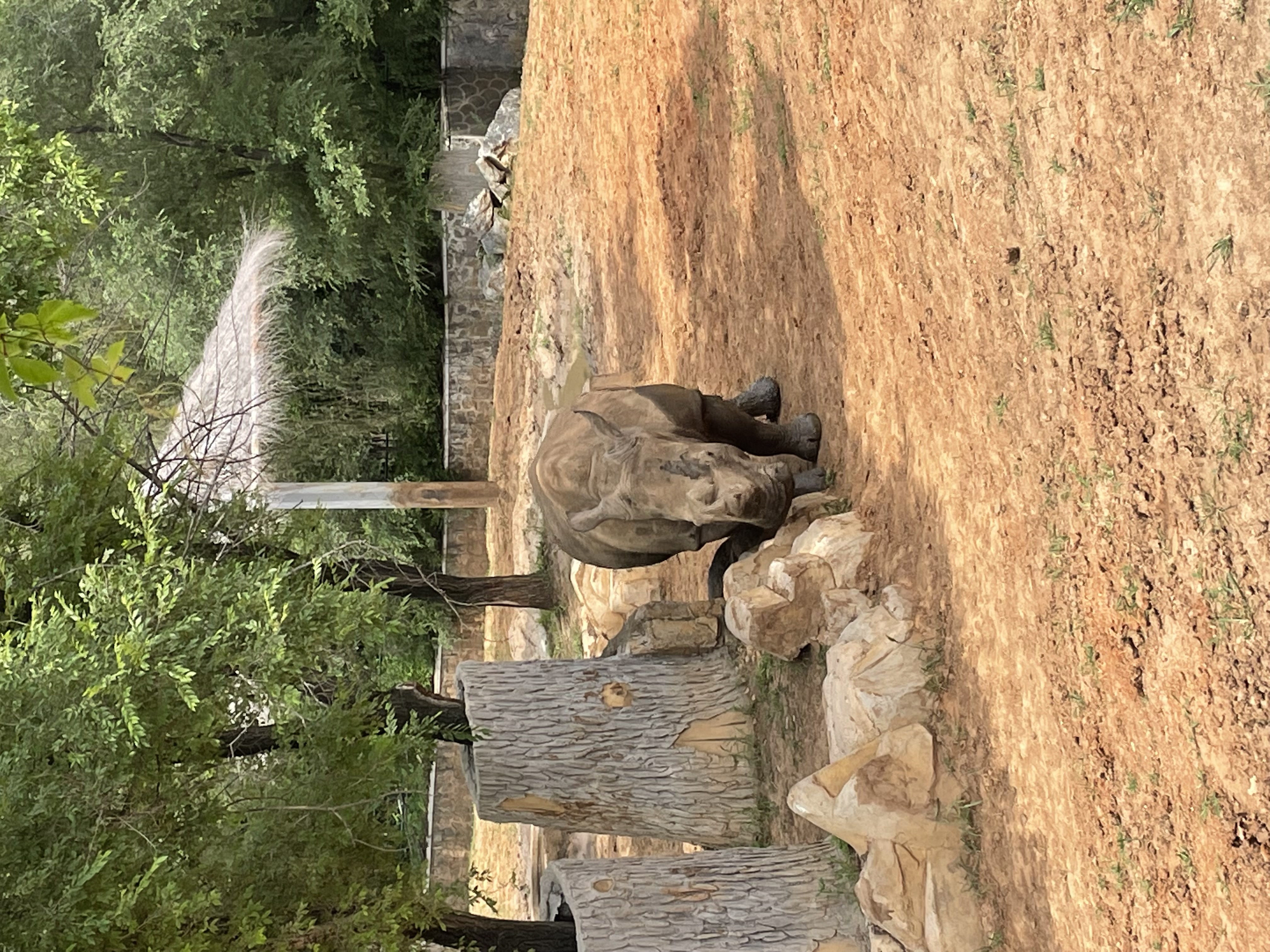 沈阳森林动物园春游,五一小长假去沈阳森林动物园游玩