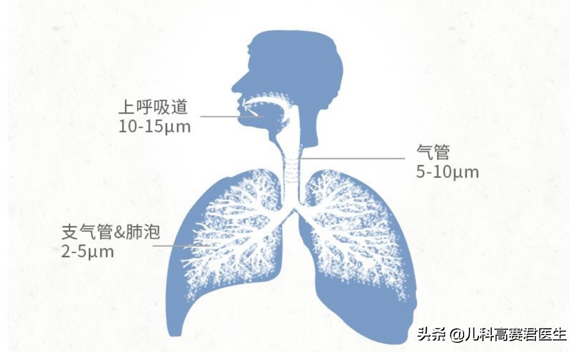 医生为什么喜欢开雾化？需要做吗？儿科医生告诉你真相